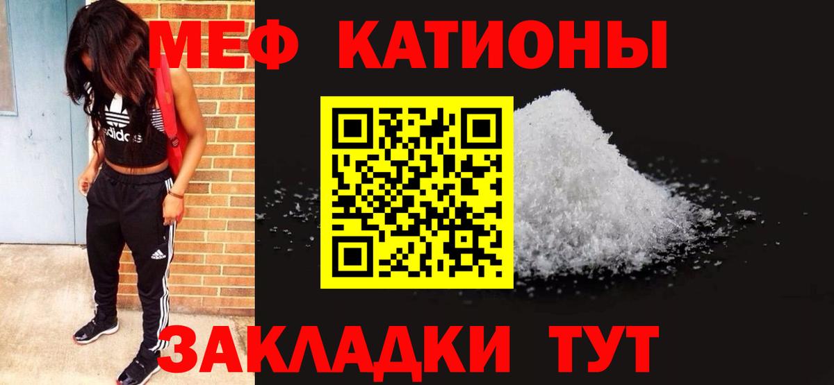 МЕФ  Гатчина