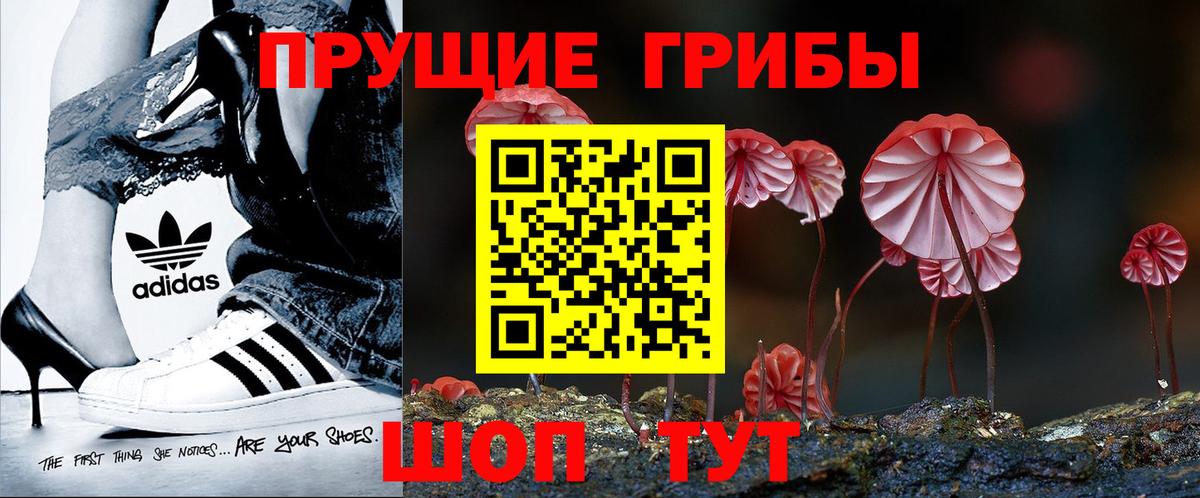 Галлюциногенные грибы ЛСД  Вход с VPN  Гатчина  Галлюциногенные грибы Psilocybe 